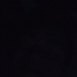 Meet your Posher, Cody